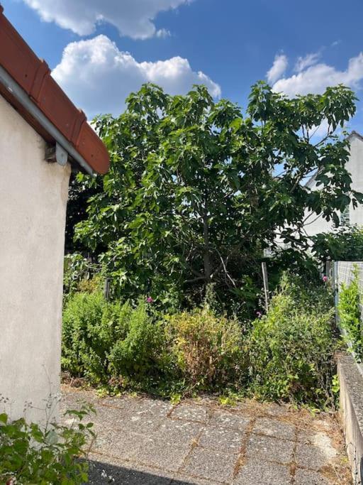 Lovely House Close To Paris Vitry-sur-Seine Eksteriør bilde